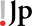 JPw32 logo